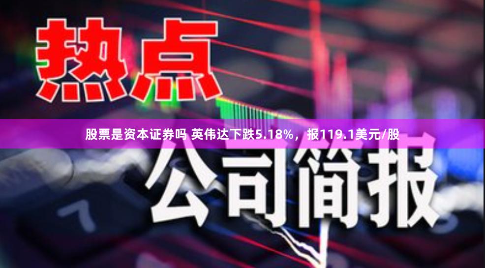 股票是资本证券吗 英伟达下跌5.18%，报119.1美元/股