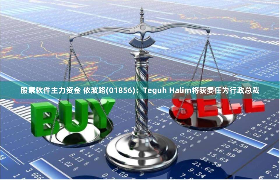 股票软件主力资金 依波路(01856)：Teguh Halim将获委任为行政总裁